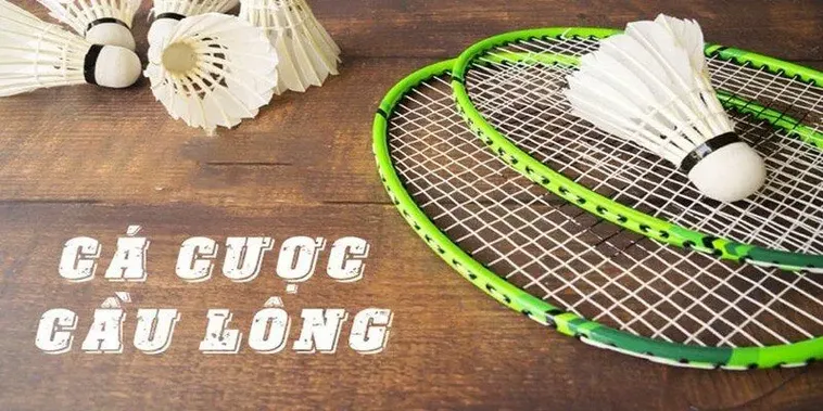 Bí Kíp Cá Cược Cầu Lông Zing88 Dễ Thắng Cho Người Mới 2025 2 Bí Kíp Cá Cược Cầu Lông Zing88 Dễ Thắng Cho Người Mới 2025
