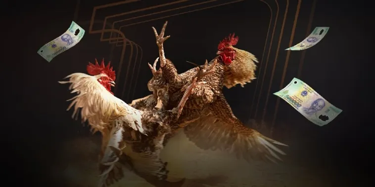 Đá Gà Zing88 Hấp Dẫn Nhất 2025 Hướng Dẫn Tham Gia Thành Công