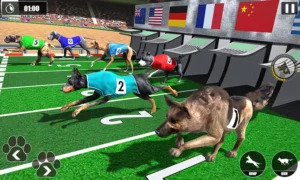 Bí Quyết Thắng Lớn Game Nhanh Đua Chó Tại Zing88 Cho Người Mới 5 Bí Quyết Thắng Lớn Game Nhanh Đua Chó Tại Zing88 Cho Người Mới