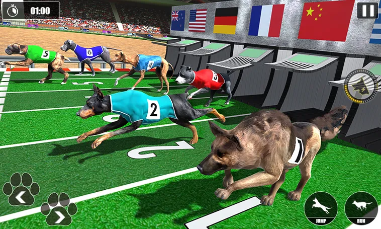 Bí Quyết Thắng Lớn Game Nhanh Đua Chó Tại Zing88 Cho Người Mới 1 Bí Quyết Thắng Lớn Game Nhanh Đua Chó Tại Zing88 Cho Người Mới